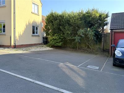 Picture 10